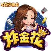 ROM助